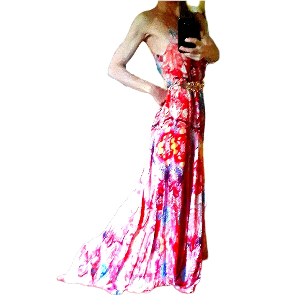 Haute Hippie runway silk dress